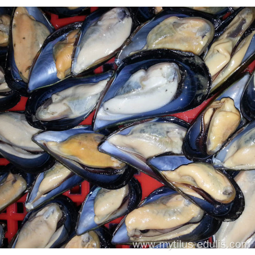 Frozen Cooked Half Shell Mussel